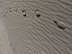 Footprints in the Sand Image