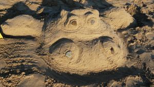 Hippo in the Sand Sculpture Photography