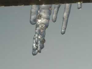 Icicle Picture