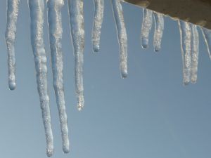 Icicles outside My Window Photo